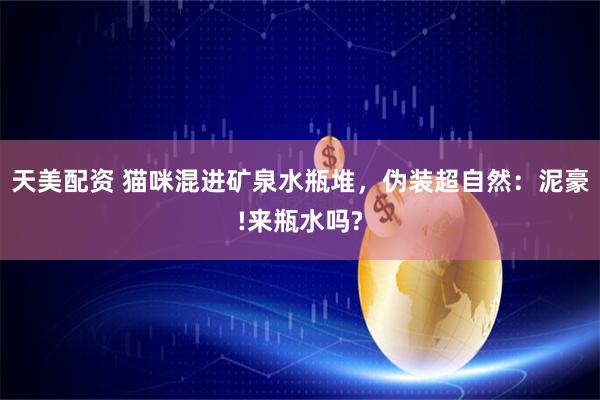天美配资 猫咪混进矿泉水瓶堆，伪装超自然：泥豪!来瓶水吗?