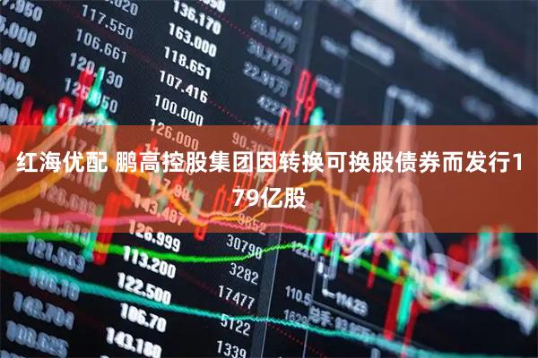 红海优配 鹏高控股集团因转换可换股债券而发行179亿股
