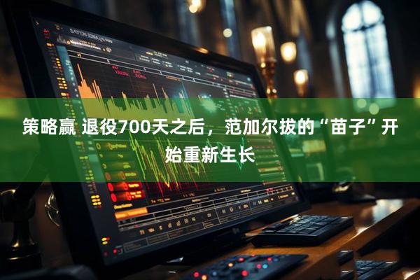 策略赢 退役700天之后，范加尔拔的“苗子”开始重新生长
