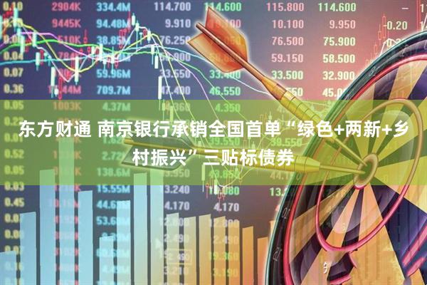 东方财通 南京银行承销全国首单“绿色+两新+乡村振兴”三贴标债券