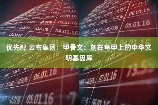优先配 云布集团：甲骨文：刻在龟甲上的中华文明基因库