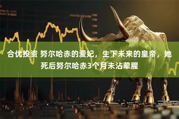 合优投资 努尔哈赤的爱妃，生下未来的皇帝，她死后努尔哈赤3个月未沾荤腥